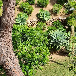  Apartment Elena Flat A Little Paradise Right On The Spain